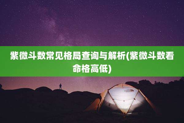 紫微斗数常见格局查询与解析(紫微斗数看命格高低)
