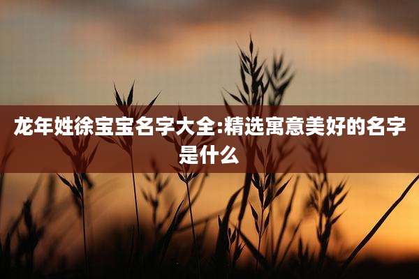 龙年姓徐宝宝名字大全:精选寓意美好的名字是什么