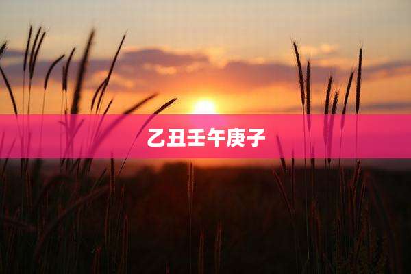 乙丑壬午庚子