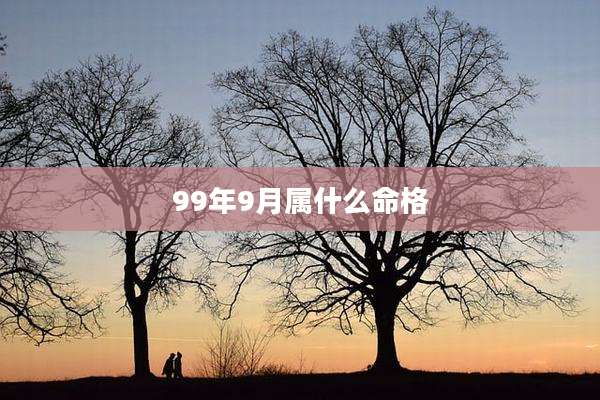 99年9月属什么命格