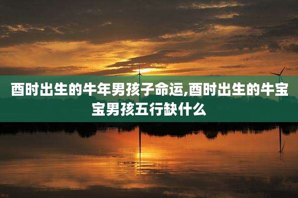 酉时出生的牛年男孩子命运,酉时出生的牛宝宝男孩五行缺什么
