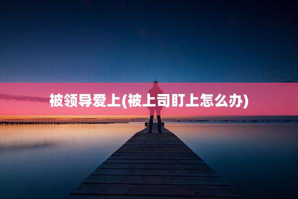 被领导爱上(被上司盯上怎么办)
