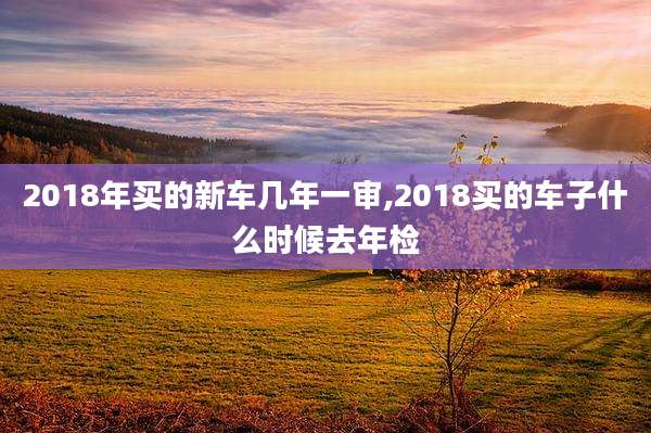 2018年买的新车几年一审,2018买的车子什么时候去年检