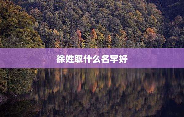 徐姓取什么名字好