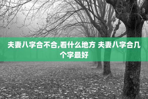 夫妻八字合不合,看什么地方 夫妻八字合几个字最好