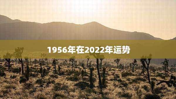 1956年在2022年运势