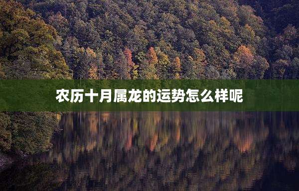 农历十月属龙的运势怎么样呢