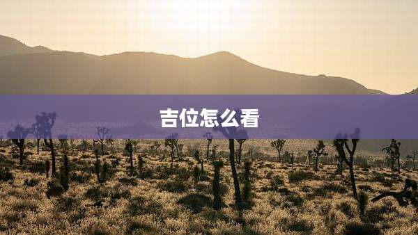 吉位怎么看