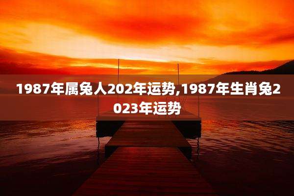 1987年属兔人202年运势,1987年生肖兔2023年运势