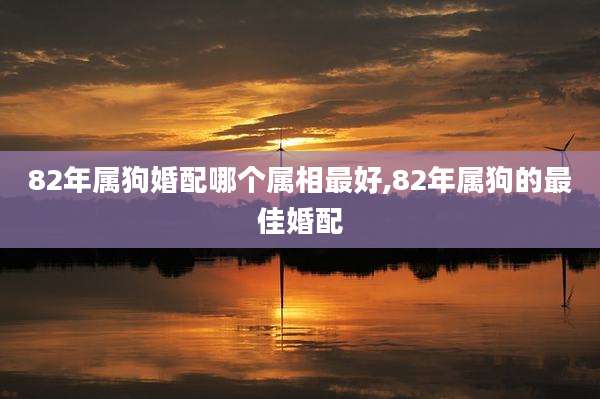 82年属狗婚配哪个属相最好,82年属狗的最佳婚配