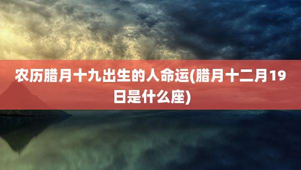 农历腊月十九出生的人命运(腊月十二月19日是什么座)