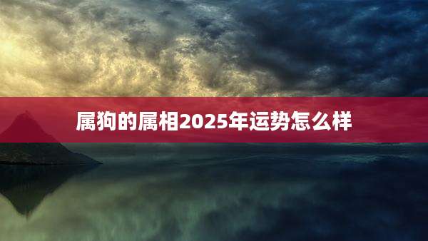 属狗的属相2025年运势怎么样