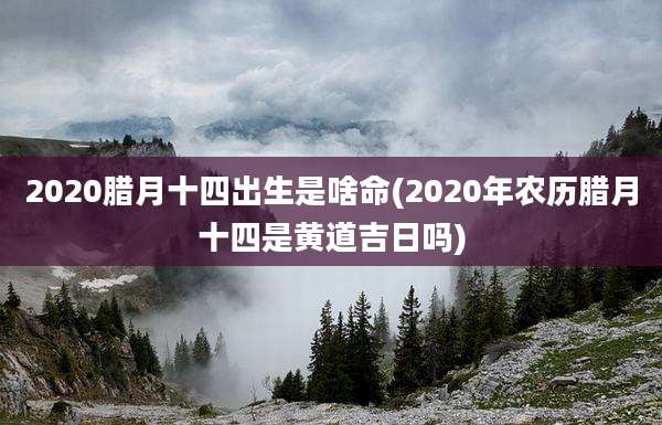 2020腊月十四出生是啥命(2020年农历腊月十四是黄道吉日吗)
