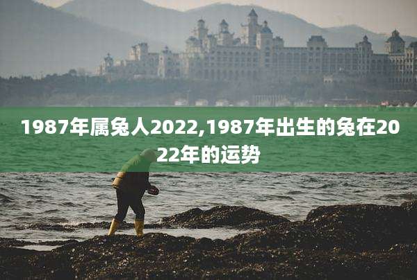 1987年属兔人2022,1987年出生的兔在2022年的运势
