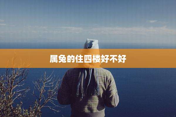 属兔的住四楼好不好