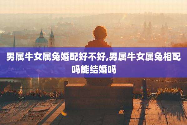 男属牛女属兔婚配好不好,男属牛女属兔相配吗能结婚吗