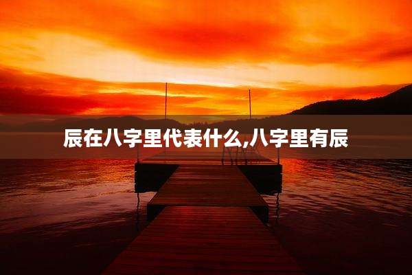 辰在八字里代表什么,八字里有辰