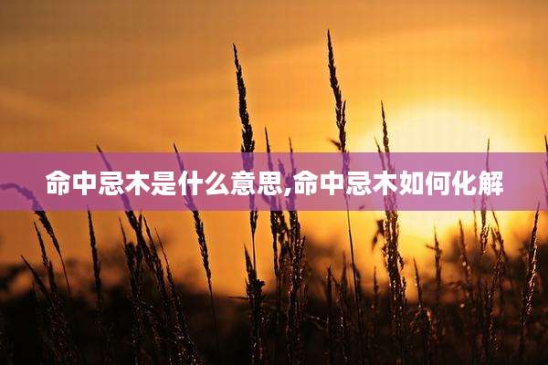 命中忌木是什么意思,命中忌木如何化解