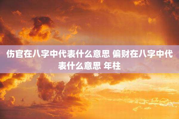 伤官在八字中代表什么意思 偏财在八字中代表什么意思 年柱