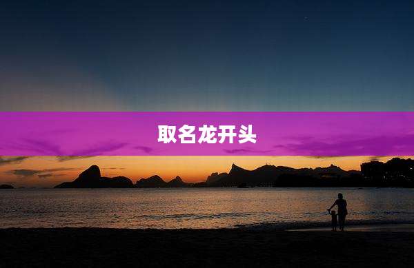 取名龙开头