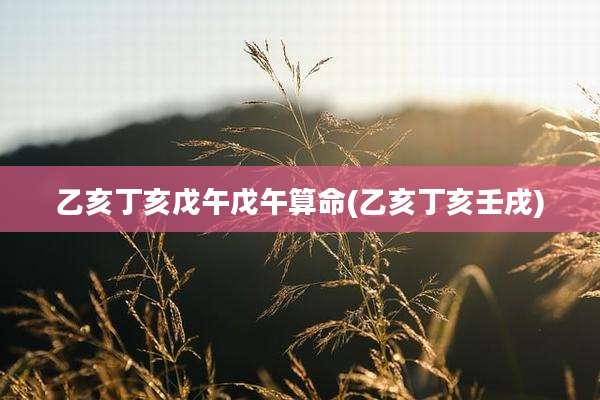 乙亥丁亥戊午戊午算命(乙亥丁亥壬戌)