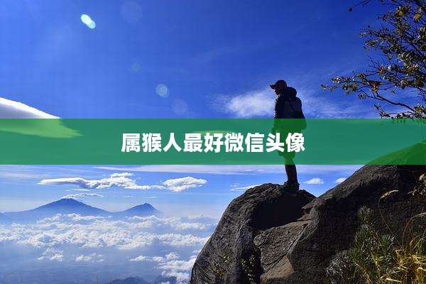 属猴人最好微信头像
