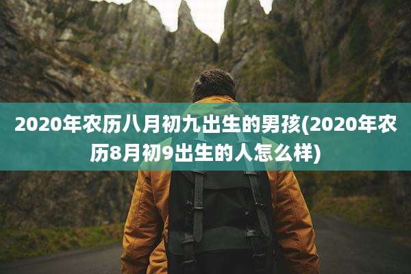 2020年农历八月初九出生的男孩(2020年农历8月初9出生的人怎么样)
