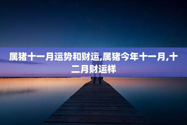 属猪十一月运势和财运,属猪今年十一月,十二月财运样
