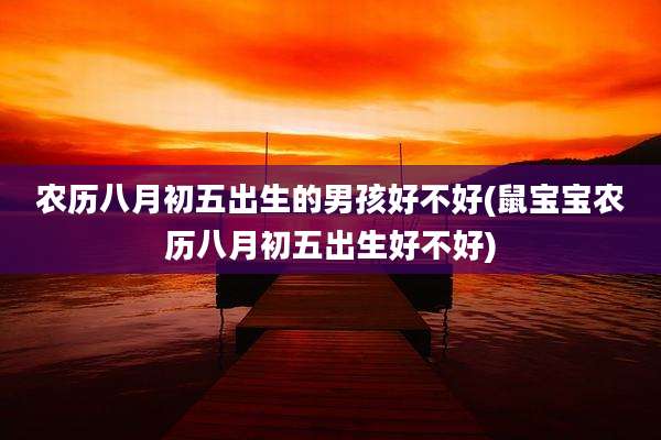 农历八月初五出生的男孩好不好(鼠宝宝农历八月初五出生好不好)