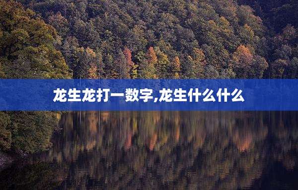 龙生龙打一数字,龙生什么什么