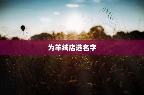 为羊绒店选名字