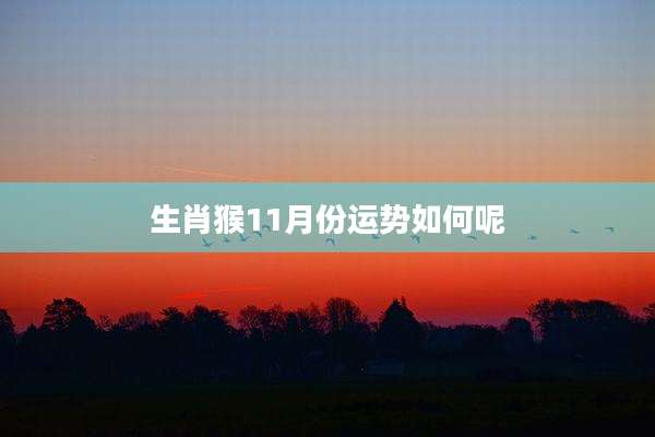 生肖猴11月份运势如何呢