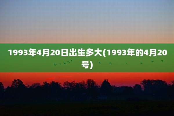 1993年4月20日出生多大(1993年的4月20号)