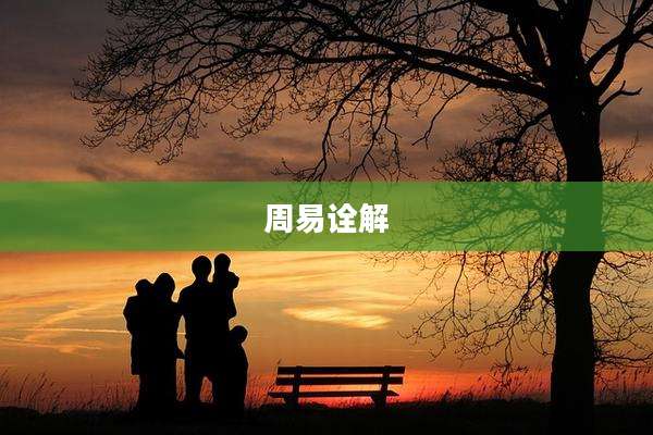 周易诠解