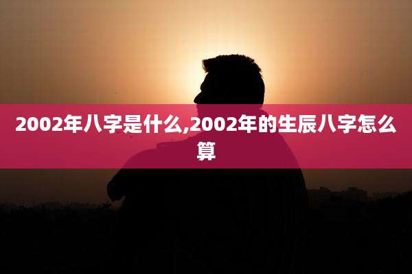2002年八字是什么,2002年的生辰八字怎么算