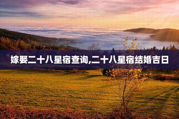 嫁娶二十八星宿查询,二十八星宿结婚吉日