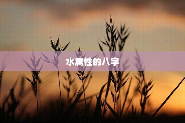 水属性的八字