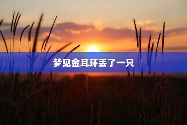 梦见金耳环丢了一只