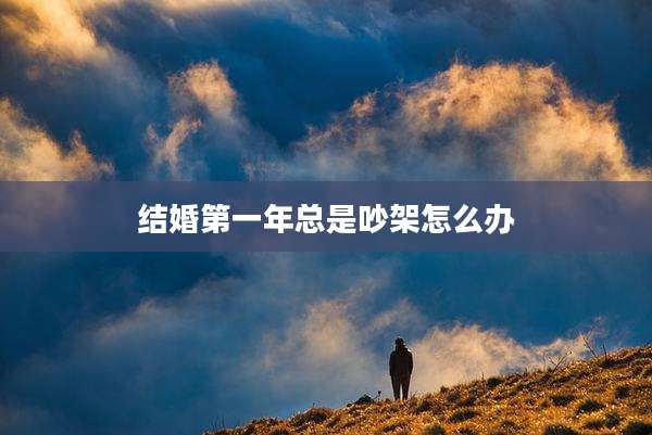 结婚第一年总是吵架怎么办
