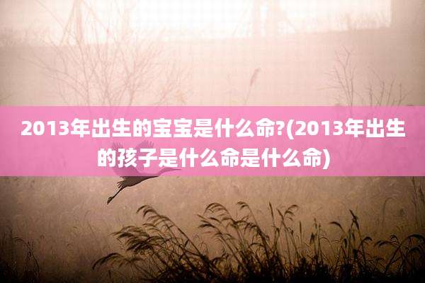 2013年出生的宝宝是什么命?(2013年出生的孩子是什么命是什么命)