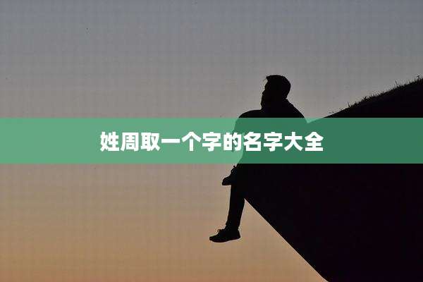 姓周取一个字的名字大全