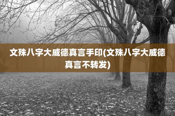 文殊八字大威德真言手印(文殊八字大威德真言不转发)