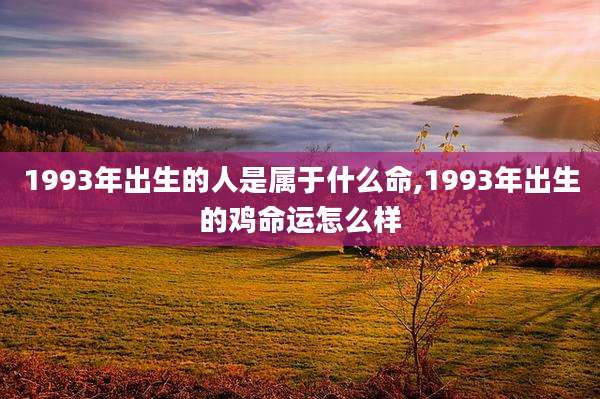 1993年出生的人是属于什么命,1993年出生的鸡命运怎么样