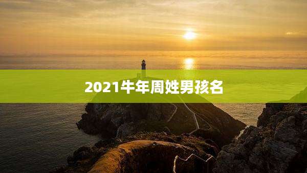 2021牛年周姓男孩名