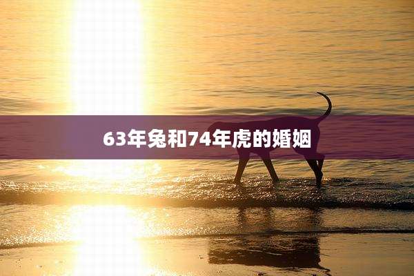 63年兔和74年虎的婚姻