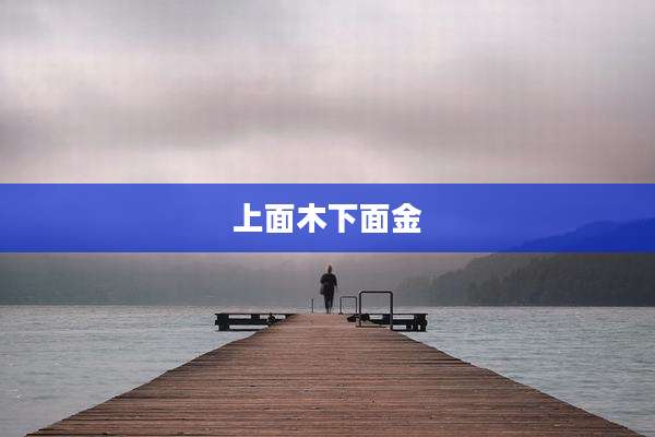 上面木下面金