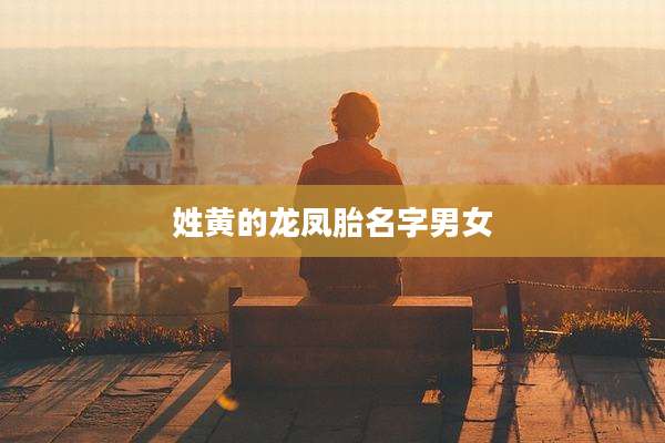 姓黄的龙凤胎名字男女