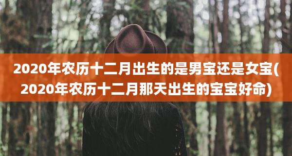 2020年农历十二月出生的是男宝还是女宝(2020年农历十二月那天出生的宝宝好命)