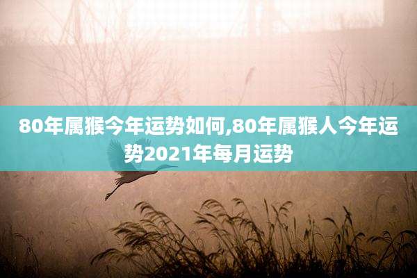 80年属猴今年运势如何,80年属猴人今年运势2021年每月运势