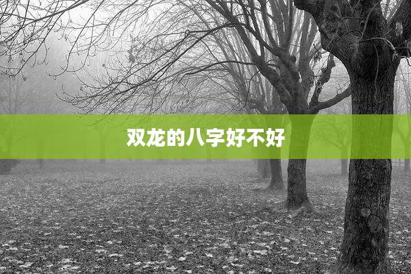 双龙的八字好不好